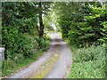 The road to Knocknairling, New Galloway