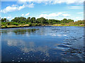 NH8652 : River Nairn near Wester Allanaha by Ian R Maxwell