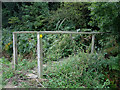 Footbridge into Aldercar Wood