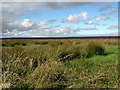 ND2954 : View north near Winless by Les Harvey