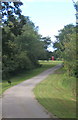 Looking along driveway