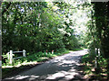 Bridge across unnamed stream near Hill House Farm