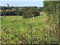 Field near Hill Top Farm