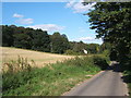 Lane with Tuttonhill Wood rising to the left