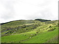 View across towards the moorland/forest edge