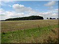 View across farmland to the SW of the B1354