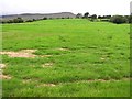 Cloane Townland