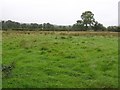 Ballynure Townland