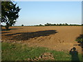 View over ploughed field