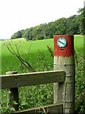 TG0735 : View towards woodland near Hunworth by Evelyn Simak