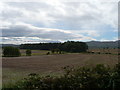 NT9634 : Farmland and Woodland near Fenton by cathietinn