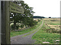 Public bridleway at Needless Hall Moor