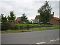 Ducks love Town Farm, Cranley