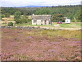 Cottage at Ellercarr