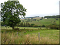 Valley of the Bailey Burn