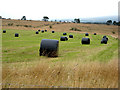 Hay bales near Roadhead