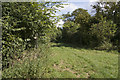 Bridleway leading to Cox Lane