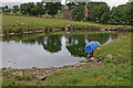SD6725 : Pond by Heys Lane by Mr T
