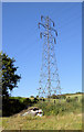 Fly tip and Pylon.