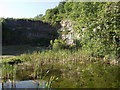 SJ2724 : Pond in old quarry at Whitehaven by John Haynes