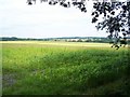 Field Near Goldstone Common