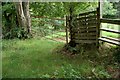 Gate and stile near Banbridge