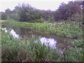 Centenary Ponds Shire Brook Nature Reserve