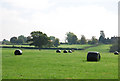 Silage bales on farm near Fifehead Magdalen