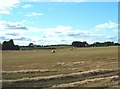 West towards East Kirkton