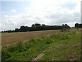 Field boundary and track to woodland near The Street