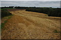 Stubble field near Ebberly