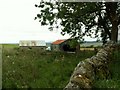 Sheds at Brown Knowe