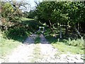 Footpath above Pant-y-cwcw Wood