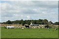 2007 : Field adjoining Church Farm