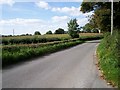 Ballyleny Road, Richhill, with a large field of Corn in the background.