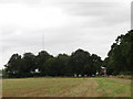 Wood Farm and transmission mast