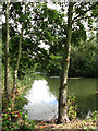 One of the fishing lakes at Cobbleacre