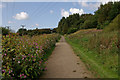 Path in River Darwen Parkway