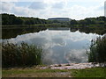 Williamthorpe Ponds Nature Reserve