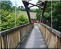 Footbridge over the Afon Banwy