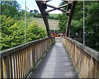 SJ1006 : Footbridge over the Afon Banwy by Maigheach-gheal
