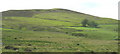 View back towards Maes Meddygon and the eastern slope of Moel Rhiwen