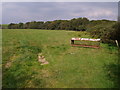 Field near Great Halfsbury