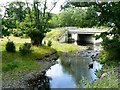 River bridge