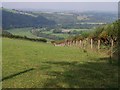 Field and view near Northcote Manor