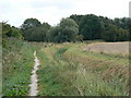 Footpath to Howden Marsh