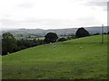 Upland pasture near Pendwyrhiew Fach