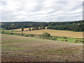 River Deveron from Muirden