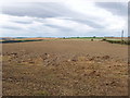 Ploughed field by Knockiemill Cottages