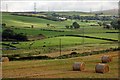 Mid-Antrim countryside